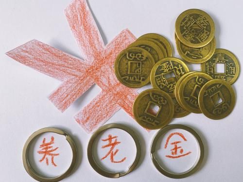 养老保险,养老金
